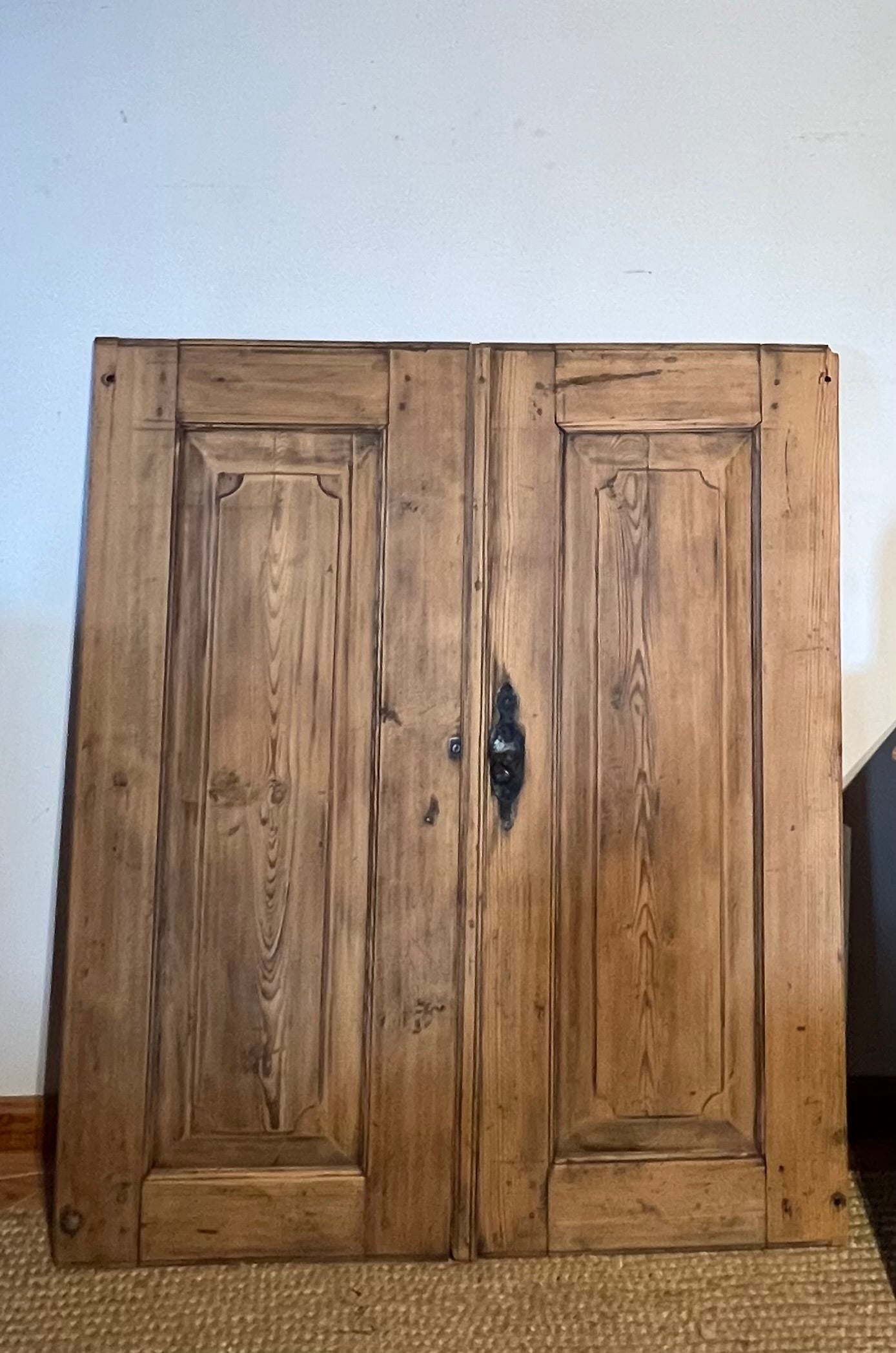 Double porte ancienne en bois massif brut esprit campagne chic