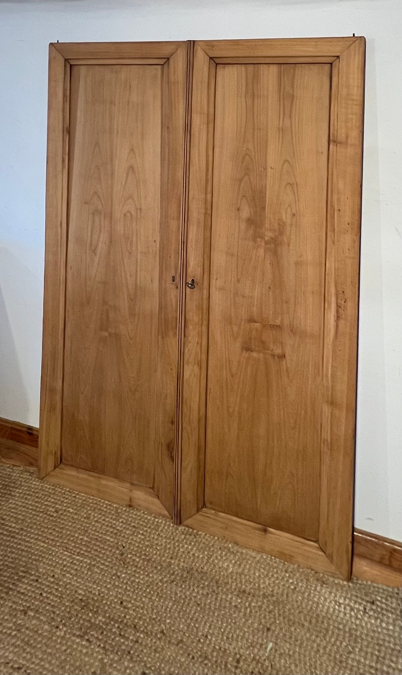 Double porte ancienne en bois massif brut