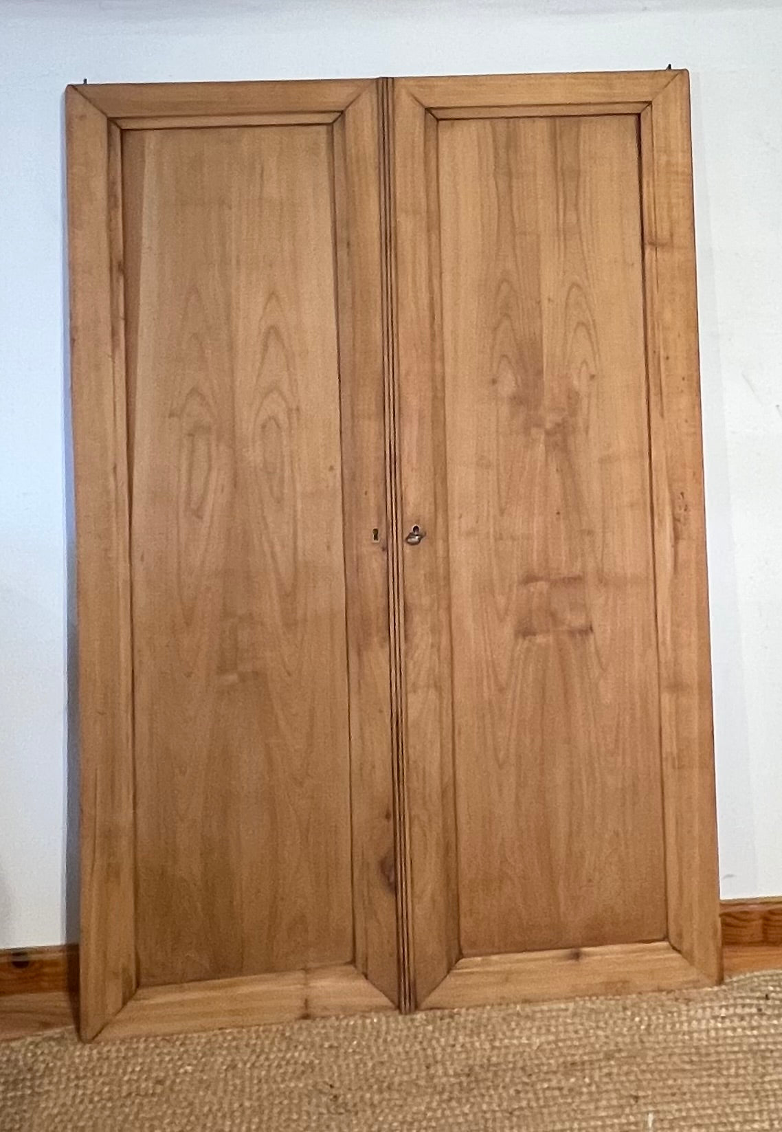 Double porte ancienne en bois massif brut