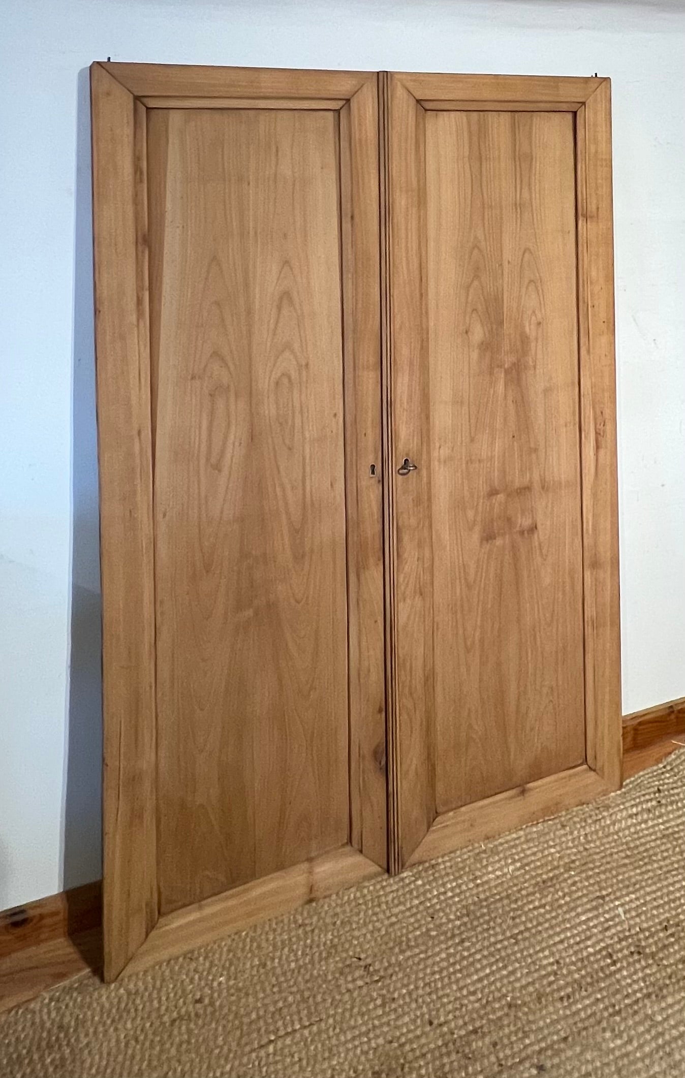 Double porte ancienne en bois massif brut